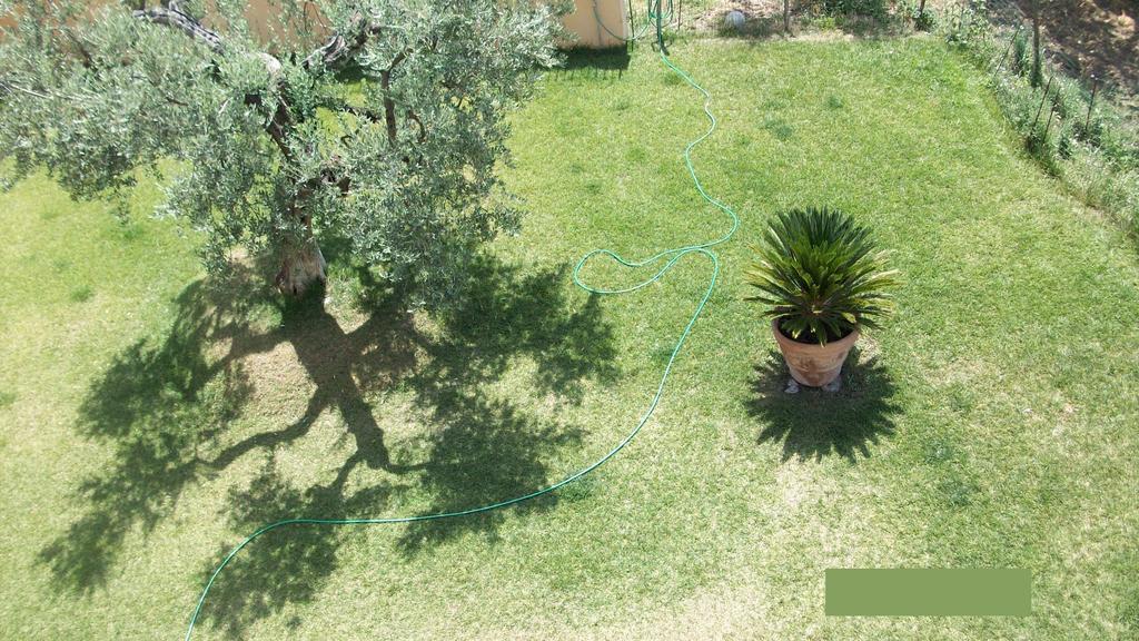 Il Giardino Degli Ulivi Acomodação com café da manhã Canneto  Exterior foto